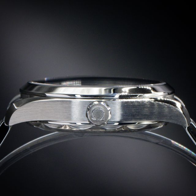 Omega Aqua Terra 150m Gents 220.10.41.21.02.004 Image 2